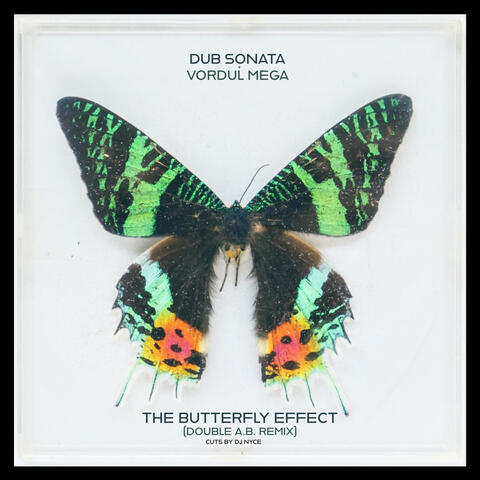 The Butterfly Effect