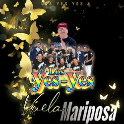 Vuela Mariposa