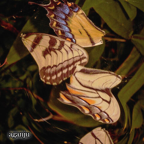 aganju