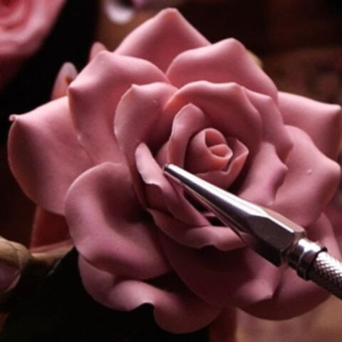 The Rose ASMR Video (Tingles & Sleep)