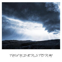 Shelter From The Storm