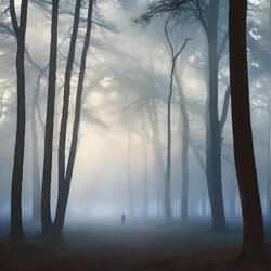 Whisper