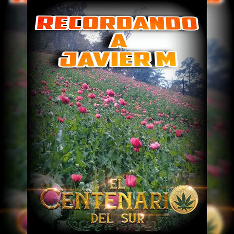Recordando a Javier M