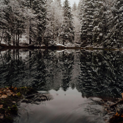 Liquid