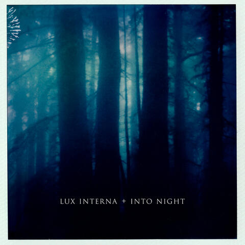 Into Night