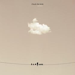 Clouds like birds