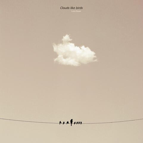 Clouds like birds