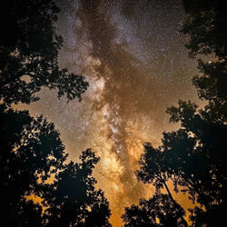 Dancing in the Starlight