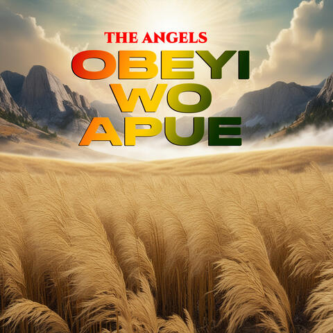 Obeyi Wo Apue