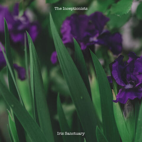 Iris Sanctuary