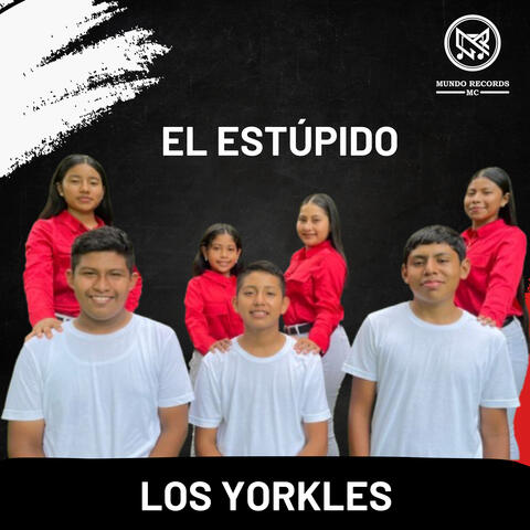 El Estúpido