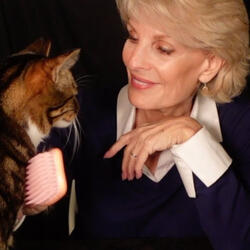 Reflections on Pets