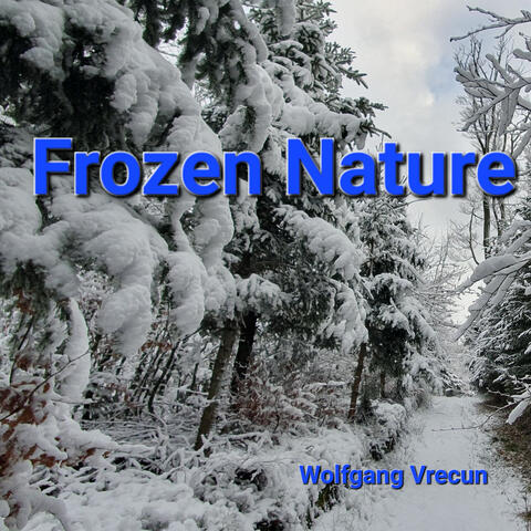 Frozen Nature