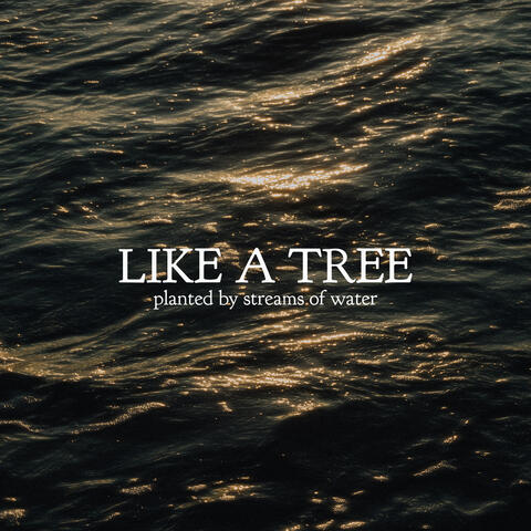 Like a Tree Planted by Streams of Water