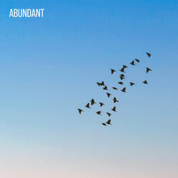 Abundant