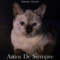 Amor de Siempre