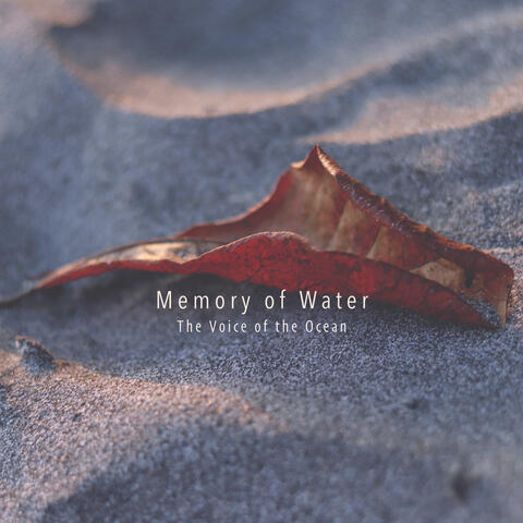 The Voice Of The Ocean