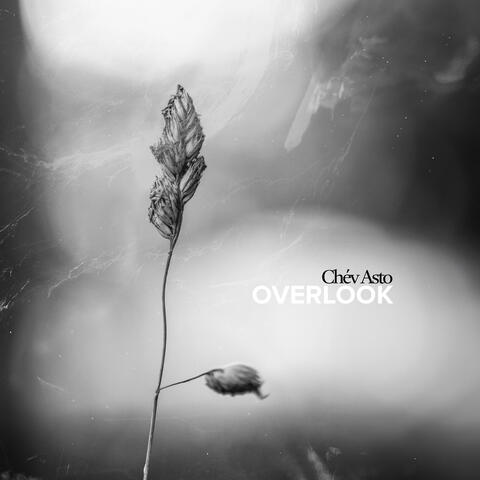 Overlook