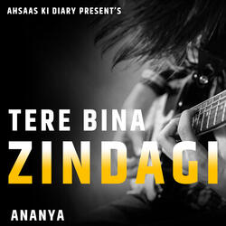 Tere Bina Zindagi