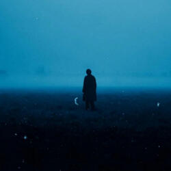 snowfall - sped up