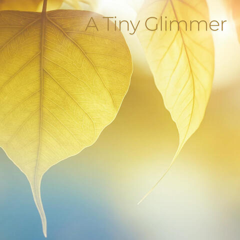A Tiny Glimmer