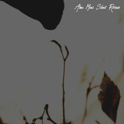 Silent Reverie
