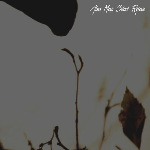 Silent Reverie