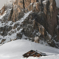 Snowed In
