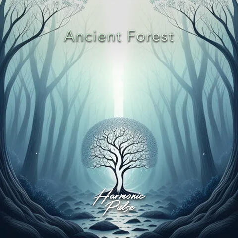 Ancient Forest