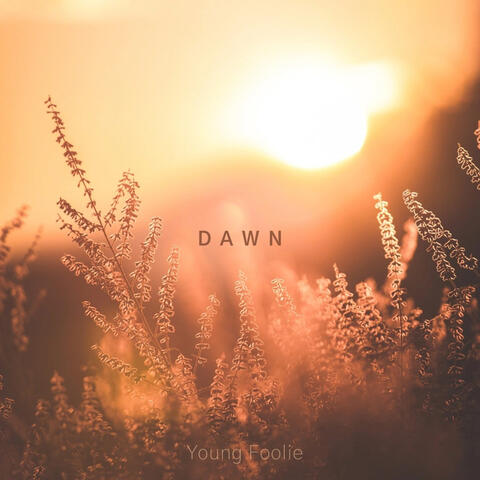 Dawn