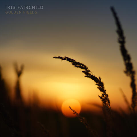 Golden Fields