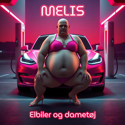 Elbiler og dametøj