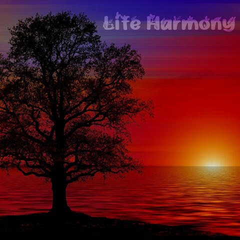 Life Harmony