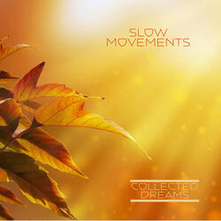 Slow Movements
