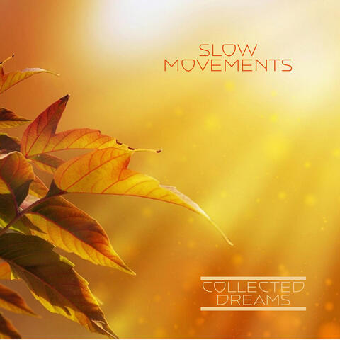Slow Movements