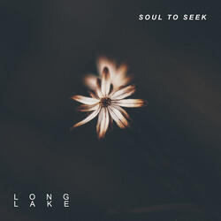 Soul to Seek
