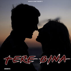 Tere Bina