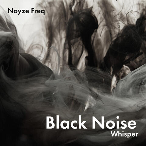 Black Noise Whispers
