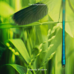 Dragonfly Whispers
