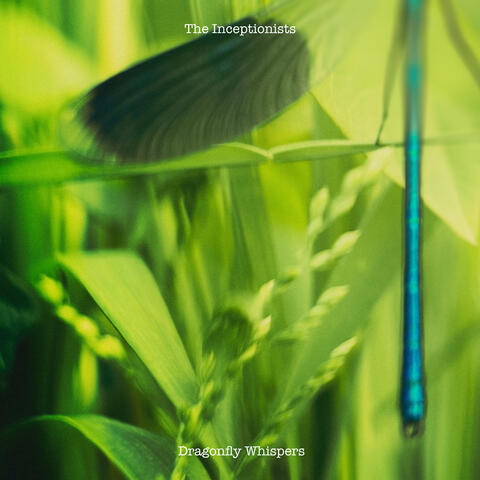 Dragonfly Whispers
