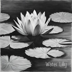 Water Lilly