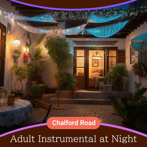 Adult Instrumental at Night