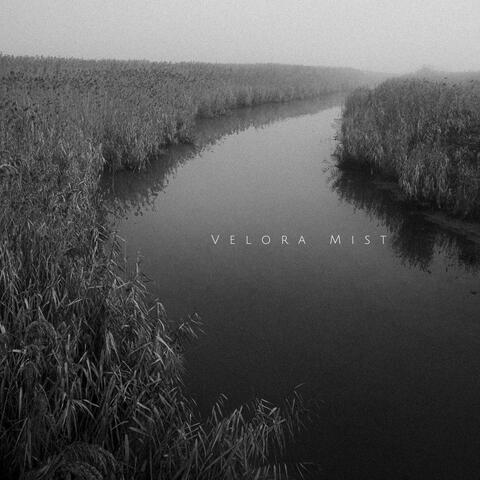 Velora Mist