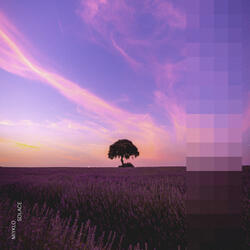 Solace