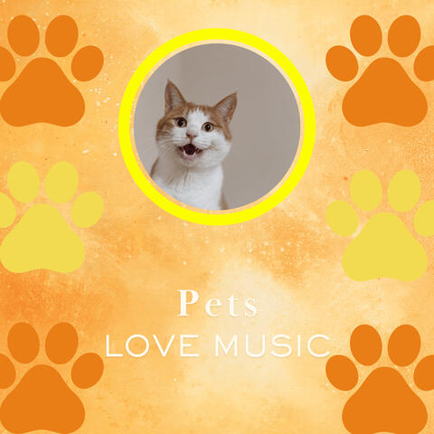 Happy Paws Nocturne