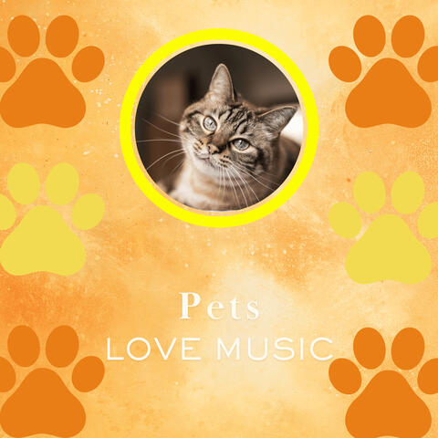 Calm Cat Serenade