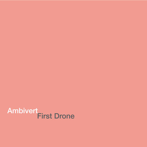 First Drone