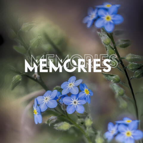 MEMORIES