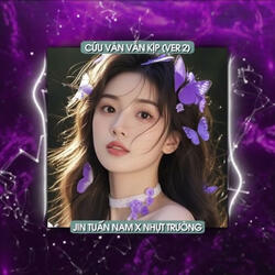 Cứu Vãn Vẫn Kịp Ver 2 (Remix)