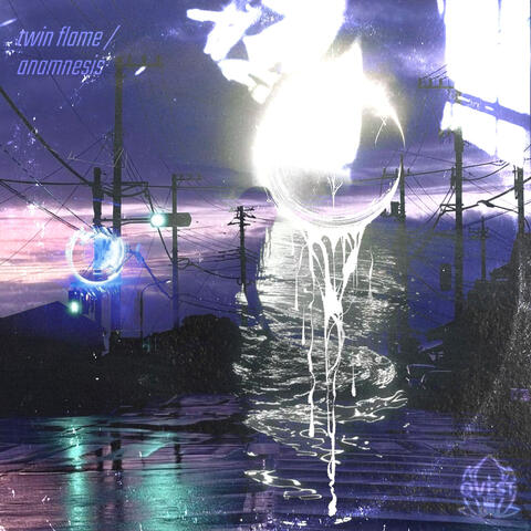 twin flame / anamnesis